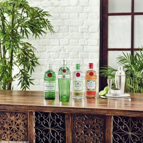 Tanqueray gin bottles alcohol