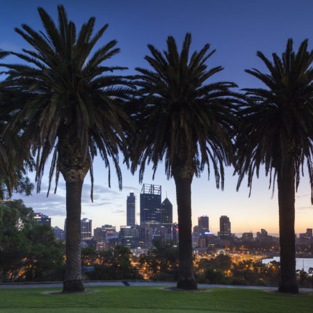 Perth skyline from a park