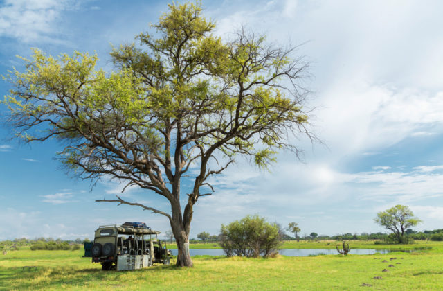 Stationary safari truck, Okavango Delta, Chobe National Park, Botswana, Africa