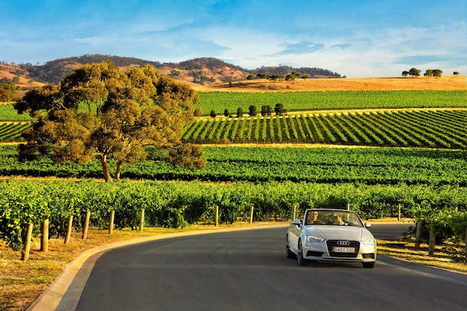 Driving through the Adelaide Barossa wine vineyards