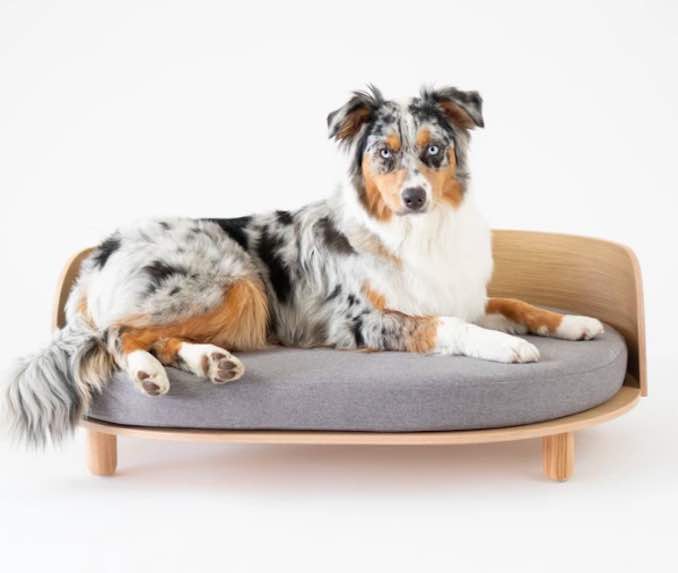 Top dog bed