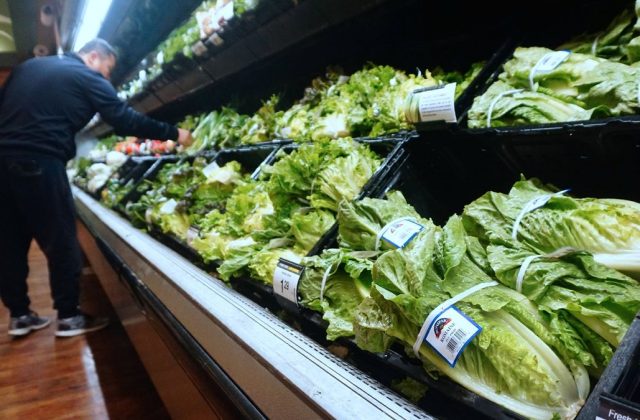 Lettuce supermarket shopping