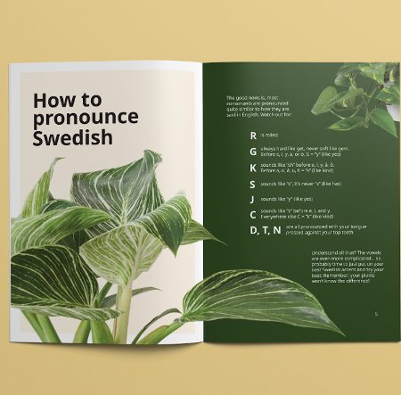 Swedish phrasebook
