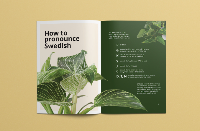 Swedish phrasebook