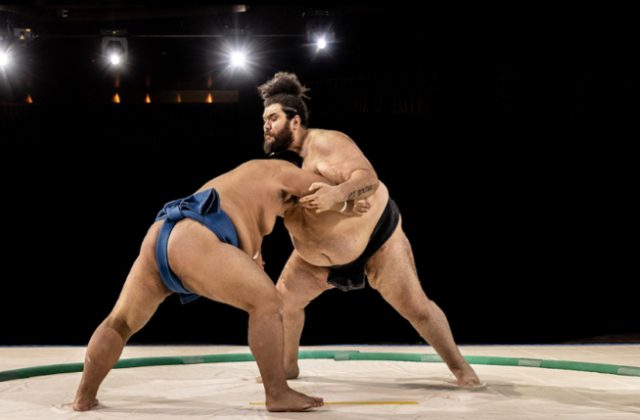 Sumo fighters