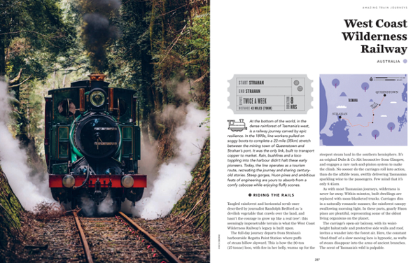 Steam train book