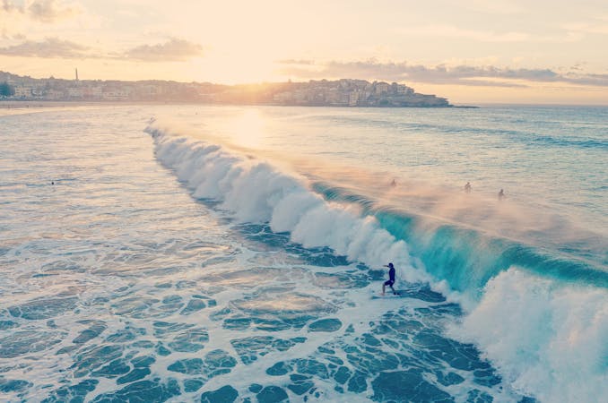 surfing bondi pexels larry snickers 2607830