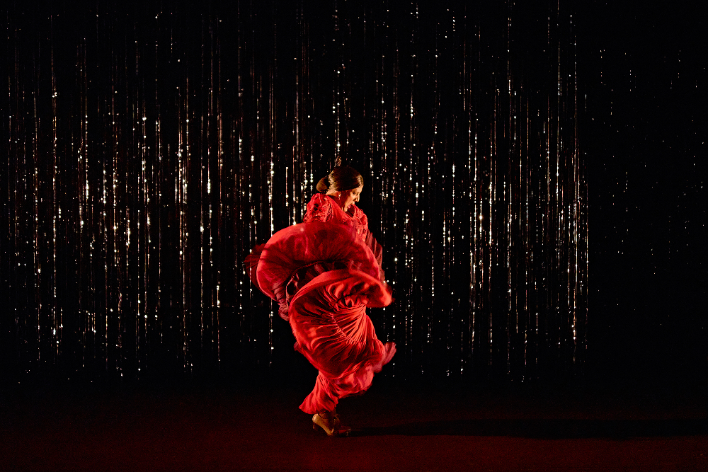 Flamenco woman dancer Manuel Linan ¡VIVA c. Marcos G Punto 4