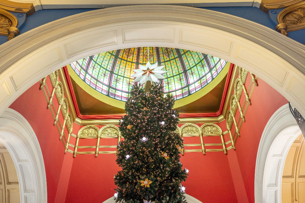 Christmas tree QVB XMAS 202422