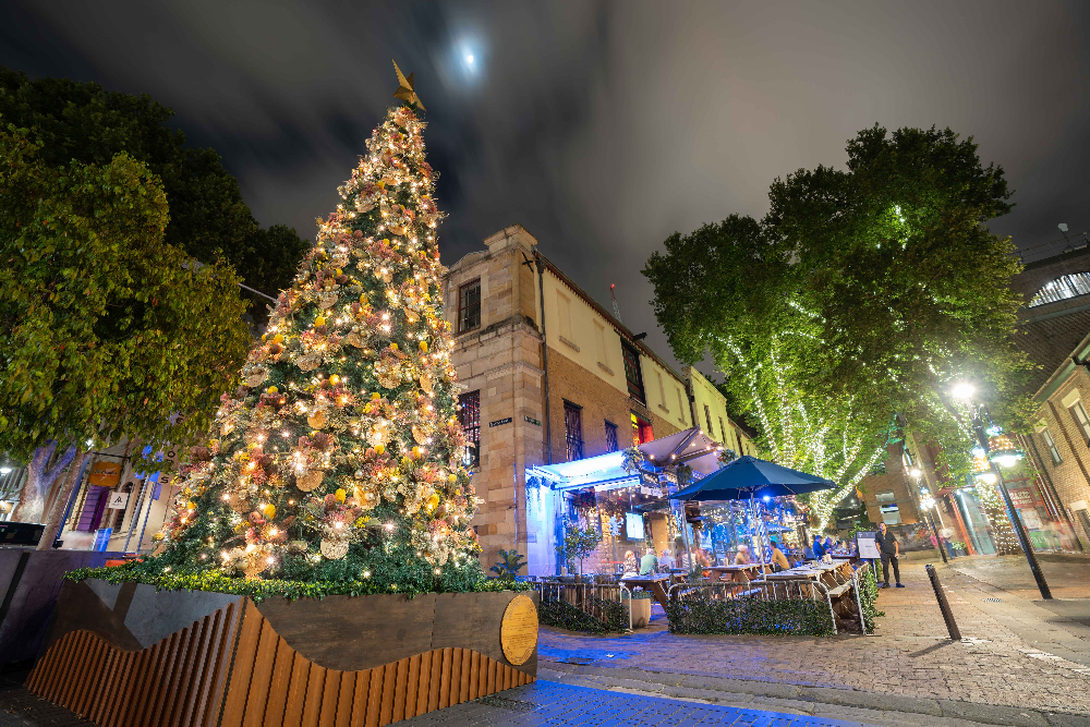 Rocks Christmas tree Sydney